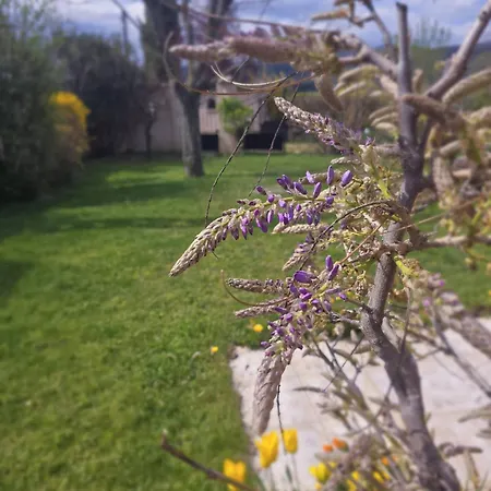 Villa Villa Volonne